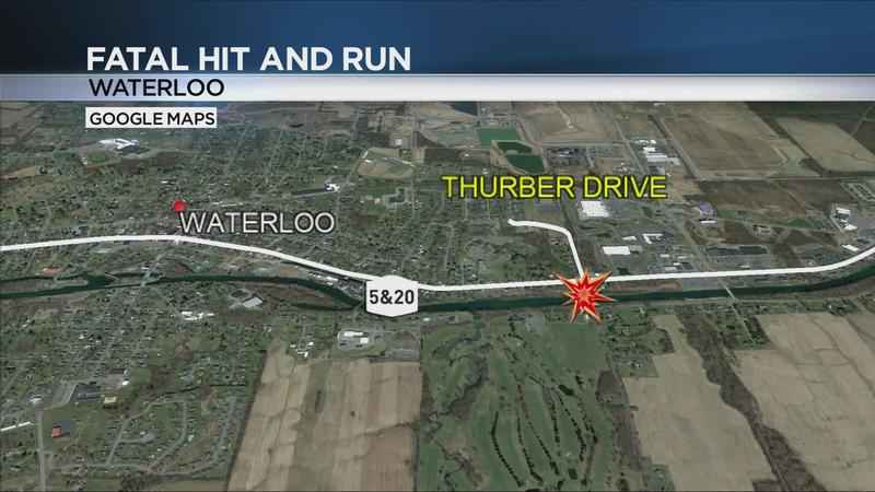 Police make arrest in deadly Waterloo hit-and-run