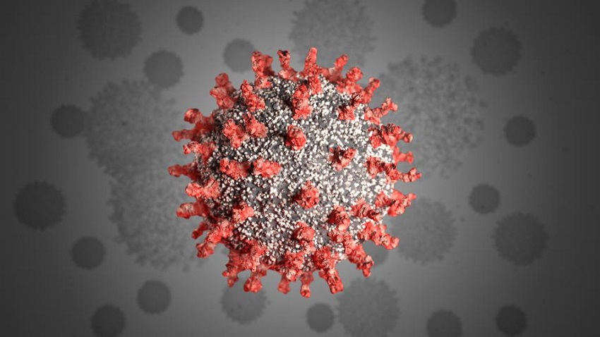 298 new coronavirus cases confirmed in Monroe County