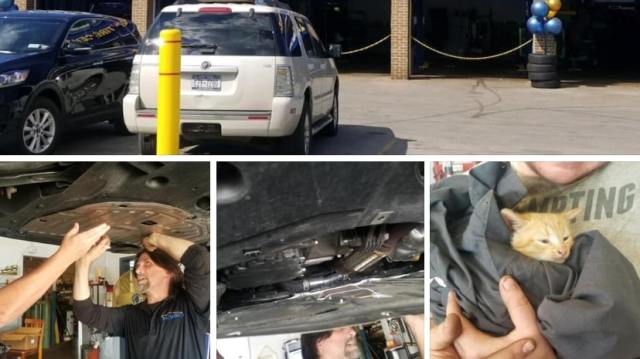 First Responders Spotlight: Cat stuck in car engine rescued by Gates Police