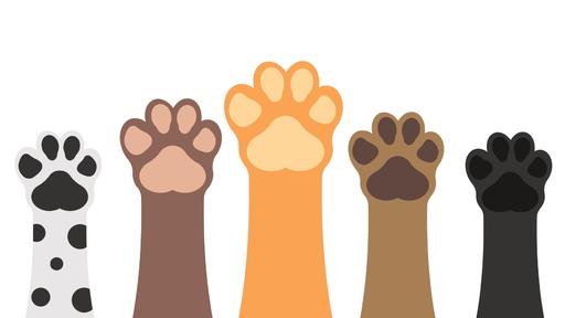 CountryMax Stores Holding Holiday Pet Photo Contest for a Good Cause