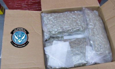 665 pounds of marijuana worth over .3 million seized at Peace Bridge