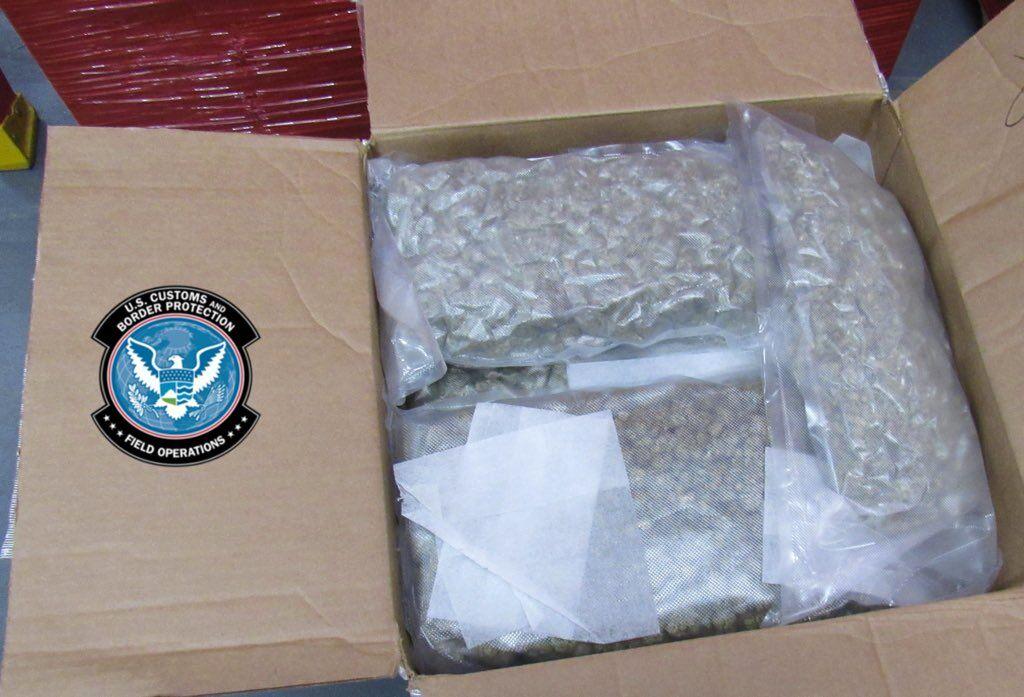 665 pounds of marijuana worth over .3 million seized at Peace Bridge 665 pounds of marijuana worth over .3 million seized at Peace Bridge