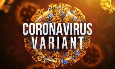 Two variants of COVID-19 found in Monroe County