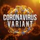 Two variants of COVID-19 found in Monroe County