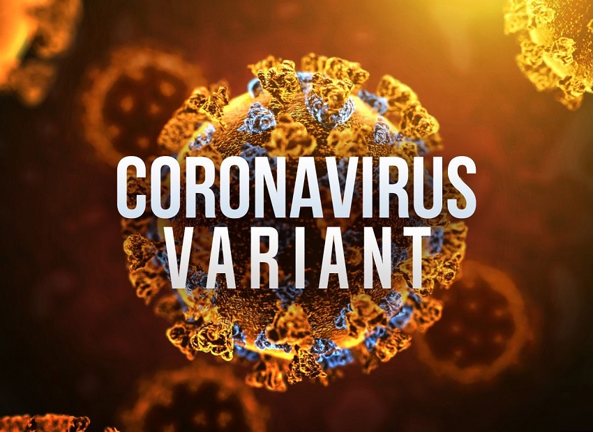 Two variants of COVID-19 found in Monroe County