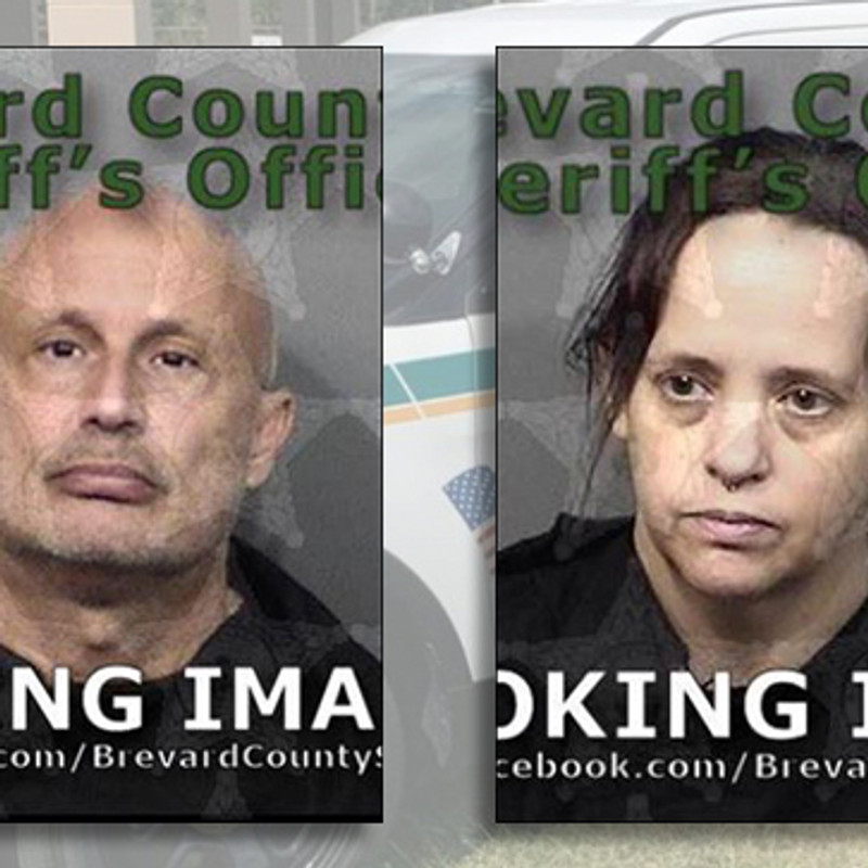 Florida teachers let daughter have sex with houseguest, sheriff says