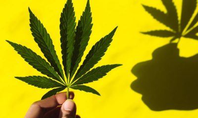 Marijuana legalization closer than ever in New York