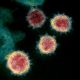 First NY case of COVID-19 Brazilian variant found in NYC resident