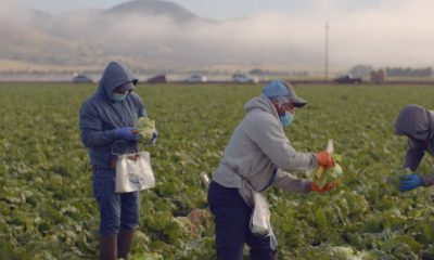 Mobile vaccination sites coming to New York for farmworkers