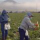 Mobile vaccination sites coming to New York for farmworkers