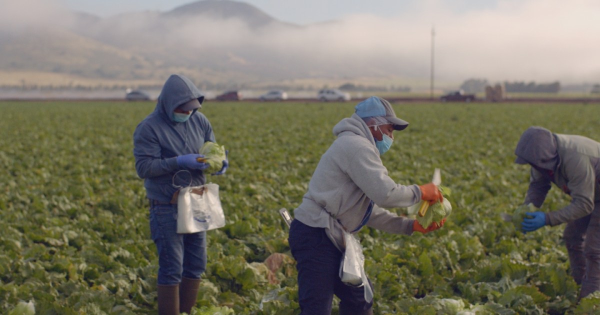 Mobile vaccination sites coming to New York for farmworkers