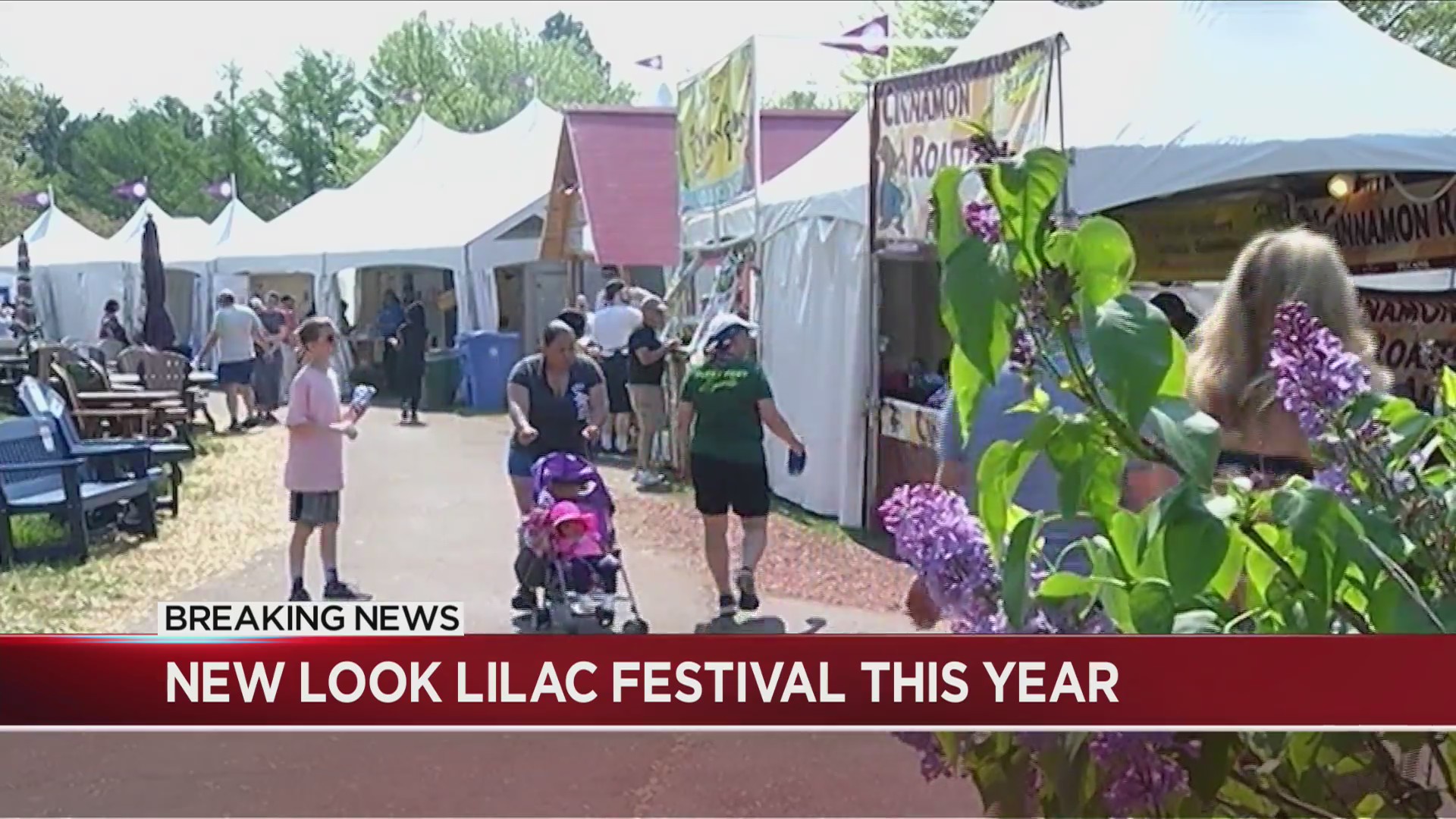 Rochester Lilac Festival Event Tickets Now On Sale