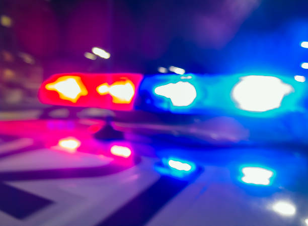 Deputies: Monroe County duo facing felony charges after string of Wayne County burglaries Deputies: Monroe County duo facing felony charges after string of Wayne County burglaries