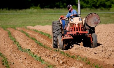 ‘Nourish New York’ will now be a permanent state-run program