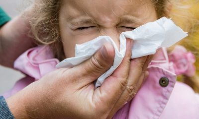 As cases of COVID-19 decrease, slight increase in viruses that cause common colds among young children