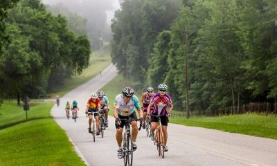 When the number of cyclists who ride together increases, bicycle deaths decrease