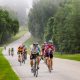 When the number of cyclists who ride together increases, bicycle deaths decrease
