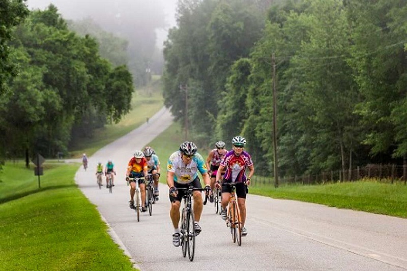 When the number of cyclists who ride together increases, bicycle deaths decrease