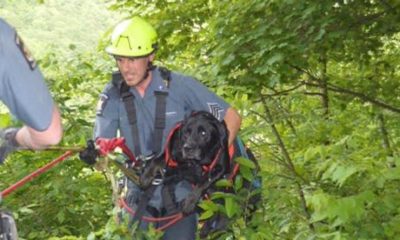 State Park Police rescued 3-year old dog at Letchworth State Park
