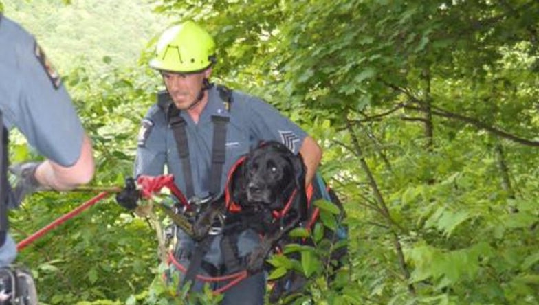 State Park Police rescued 3-year old dog at Letchworth State Park