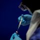 Rochester Clinical Research assist in COVID-19 vaccine trials