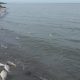 Large number of dead fish along Lake Ontario
