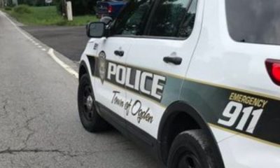 Overnight vehicle larcenies in Ogden, police investigating