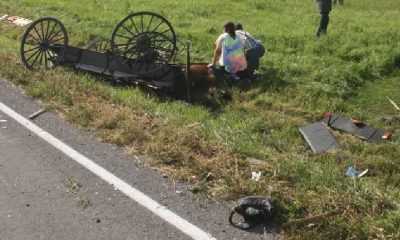 A collision between a vehicle and a horse-and-buggy in Yates County