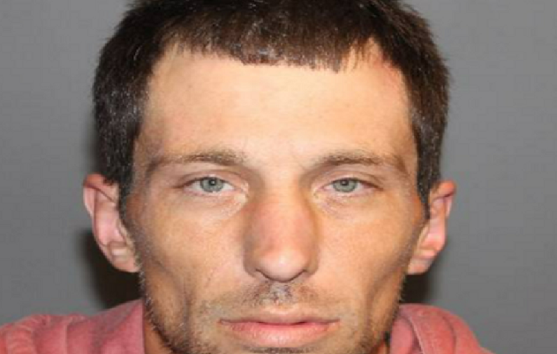 Deputies: A 35-yer-old man rummaged through vehicles, caught hiding in bush