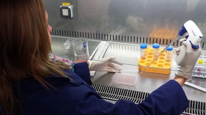 48 new COVID-19 cases reported in Monroe County 48 new COVID-19 cases reported in Monroe County