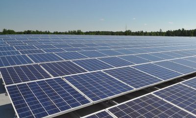 Renewable energy production surged by 21 percent last year