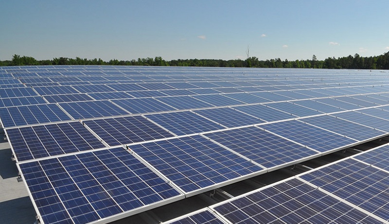 Renewable energy production surged by 21 percent last year