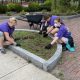 Elmira College’s freshman class participate in their first community service engagement at Eldridge Park