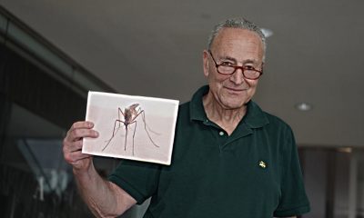 Senator Chuck Schumer searching for a mosquito problem solution