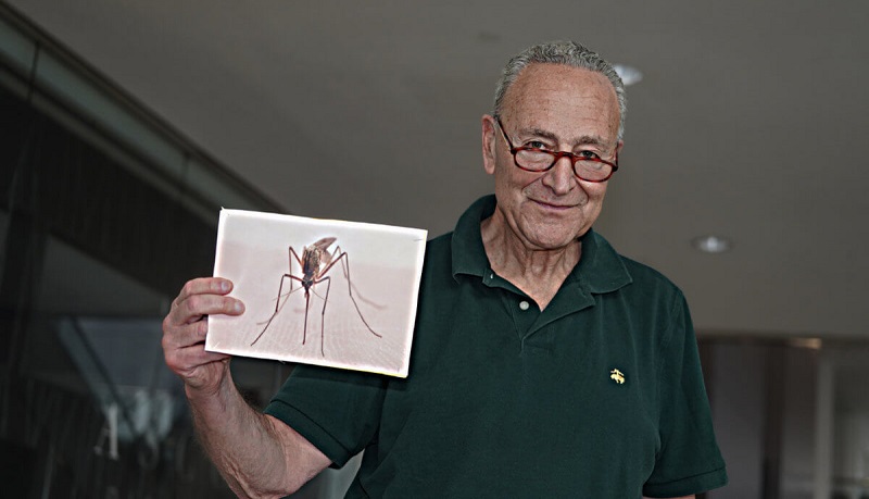 Senator Chuck Schumer searching for a mosquito problem solution Senator Chuck Schumer searching for a mosquito problem solution