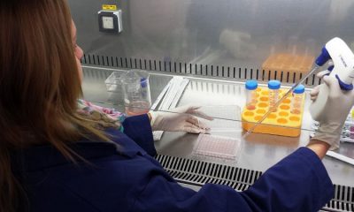 127 new cases and 10 new deaths reported in Monroe County