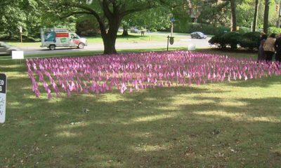 County, city leaders mark Domestic Violence Awareness Month