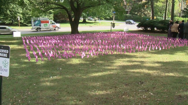 County, city leaders mark Domestic Violence Awareness Month County, city leaders mark Domestic Violence Awareness Month