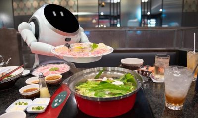 Robots to help in area restaurants