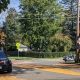 Motorcyclist hit roundabout in Elmira