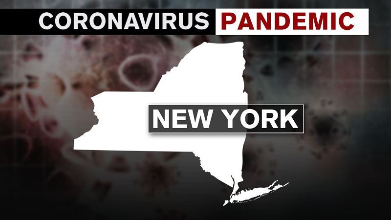 New York increasing hospital capacity in anticipation of omicron arrival New York increasing hospital capacity in anticipation of omicron arrival