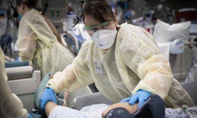 337 new COVID cases in Monroe County