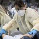 337 new COVID cases in Monroe County