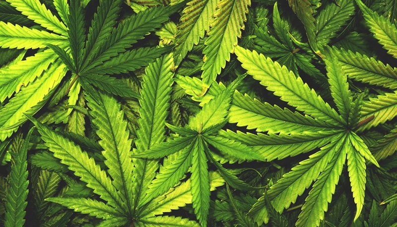 Irondequoit public input on recreational marijuana Tuesday