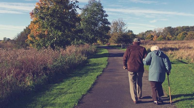 Seniors in rural New York face growing isolation Seniors in rural New York face growing isolation