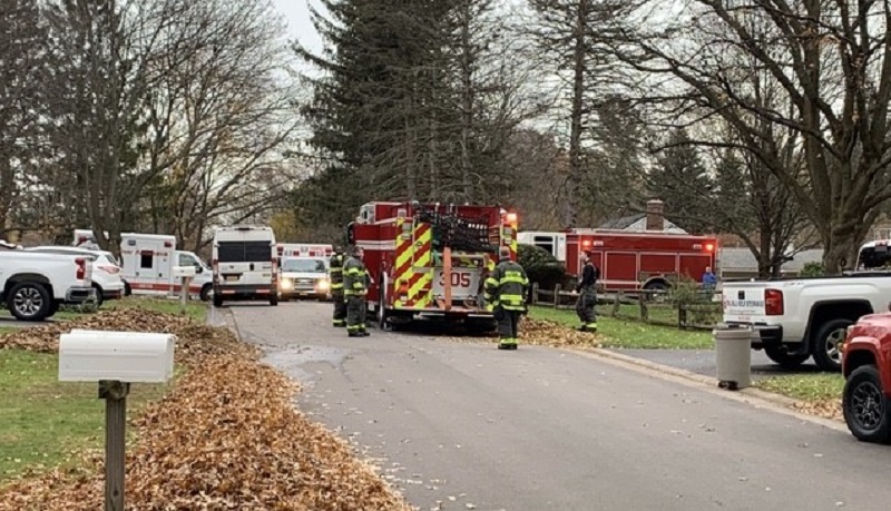 Two dogs and two cats rescued from Pittsford house fire