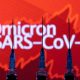 Three more COVID-19 Omicron variant cases confirmed in New York State