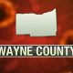 Around 30% of all Wayne County COVID deaths to date came in last 5 weeks