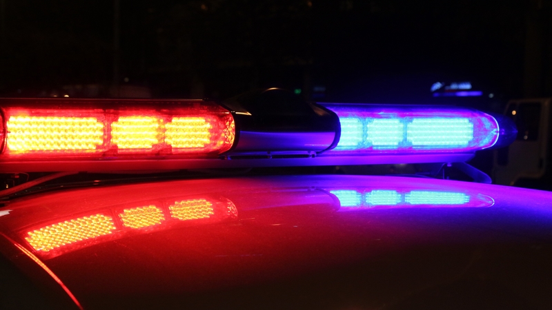 Pedestrian killed in fatal drunk driving crash in Rochester