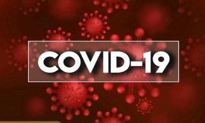 90% increase in COVID-19 deaths since October in Wayne County